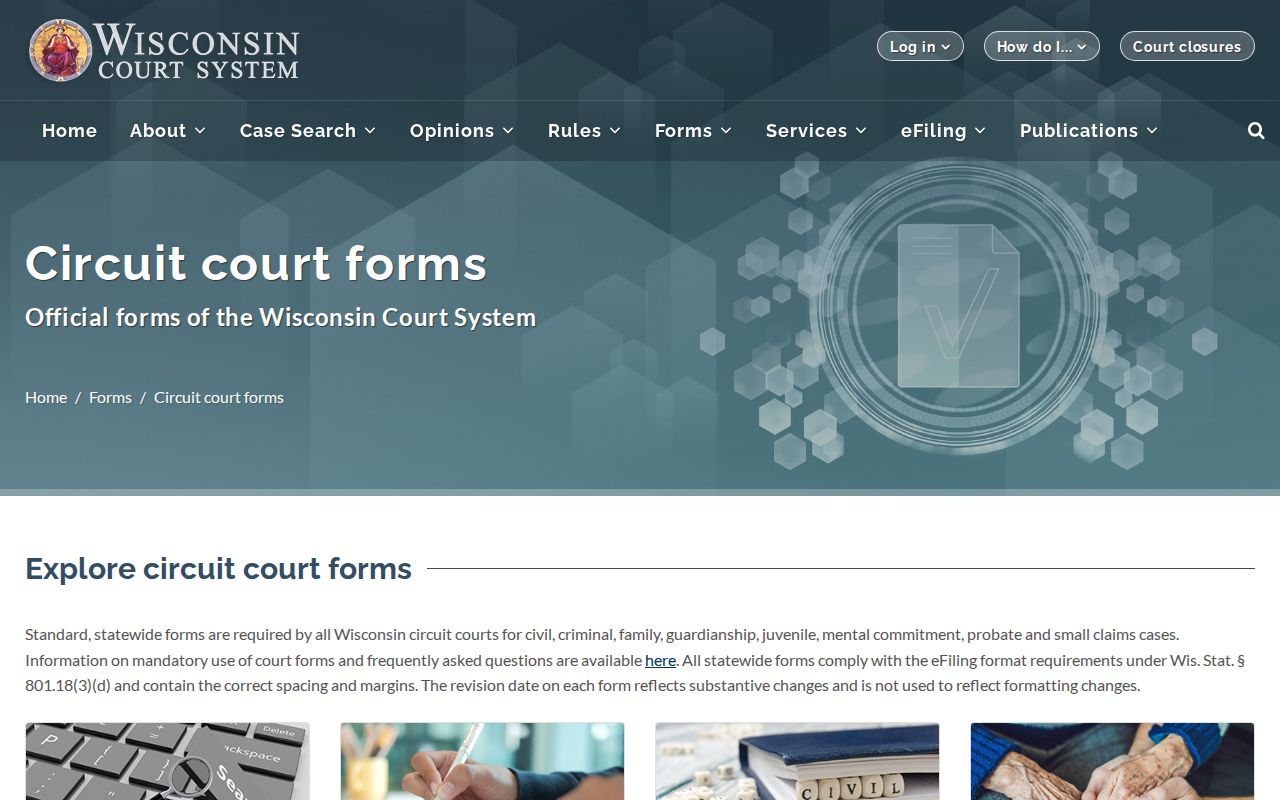 Vilas County civil court docket Wisconsin circuit form categories